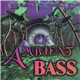 Bass Forest - Ambient Bass